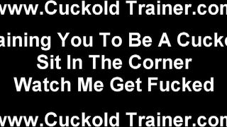 Cuckold Trainer Cuckold Domination And Cheating Wife Porn