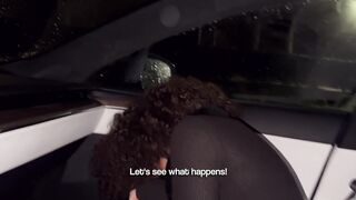 Beatrice Segreti cuck HUSBAND MAKES HER FUCK WITH A STRANGER in the car!